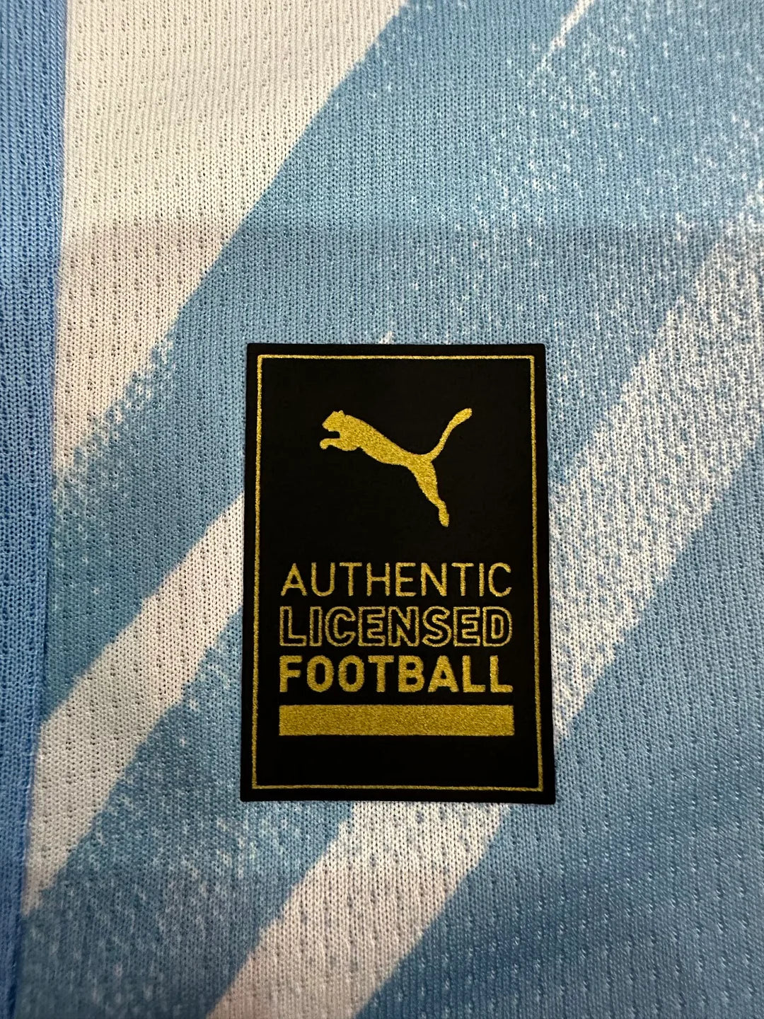 2025/2026 Manchester City Domači Nogometni Dres